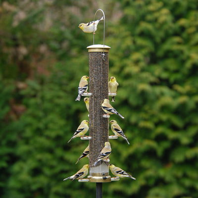 Thistle Tube Wild Bird Feeder, Large, Antique Brass - BIRDLOVER
