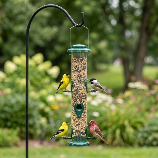 American Goldfinches, a Chickadee and a House Finch feeding on the Forest Green 6-Port Metal Tube Bird Feeder in a garden
