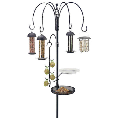 Premium Wild Bird Feeding Station Kit, Black - BIRDLOVER