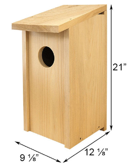 Joy Box Screech Owl and Kestrel House