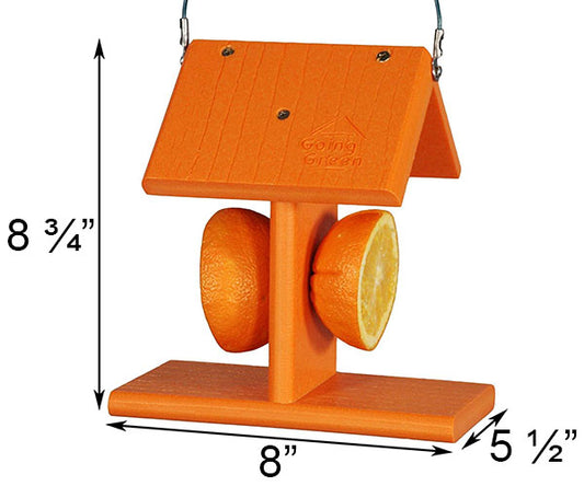 Going Green Recycled Plastic Oriole Fruit Feeder - BIRDLOVER
