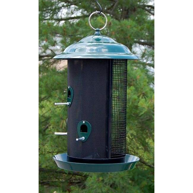 Combination Thistle and Seed Bird Feeder, Large
