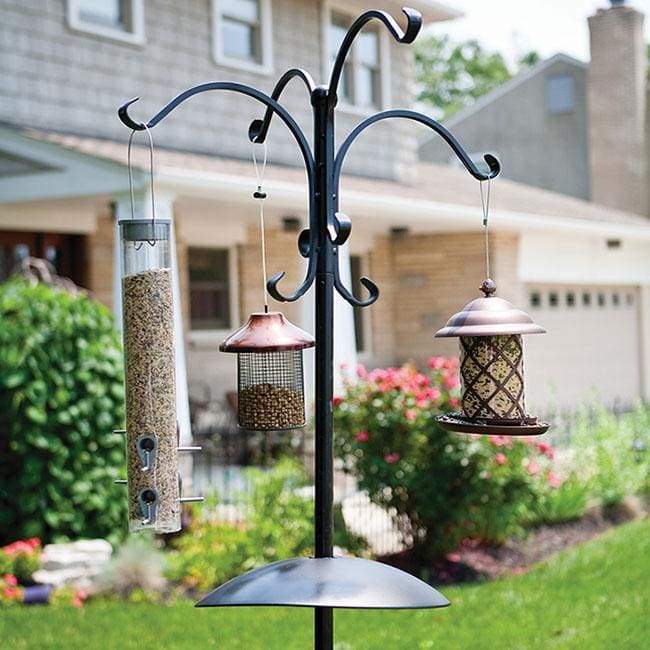 Deluxe Bird Feeding Station Kit