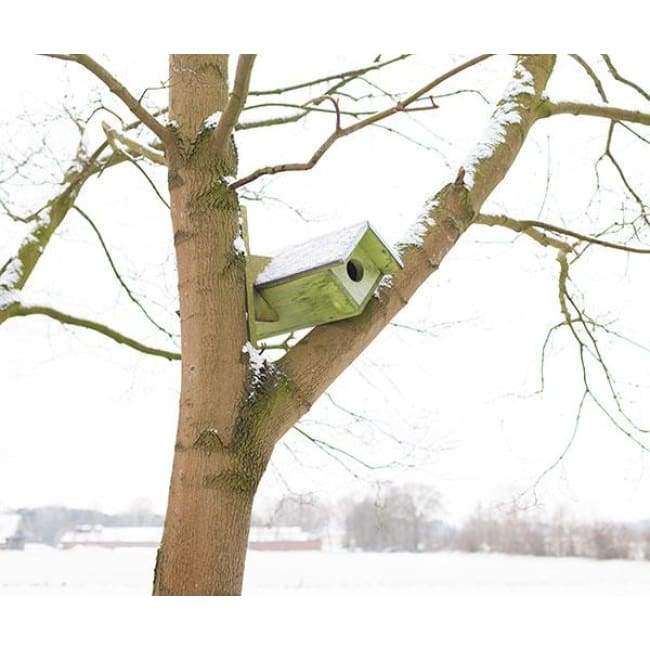 Owl or Kestrel Extended Horizontal House