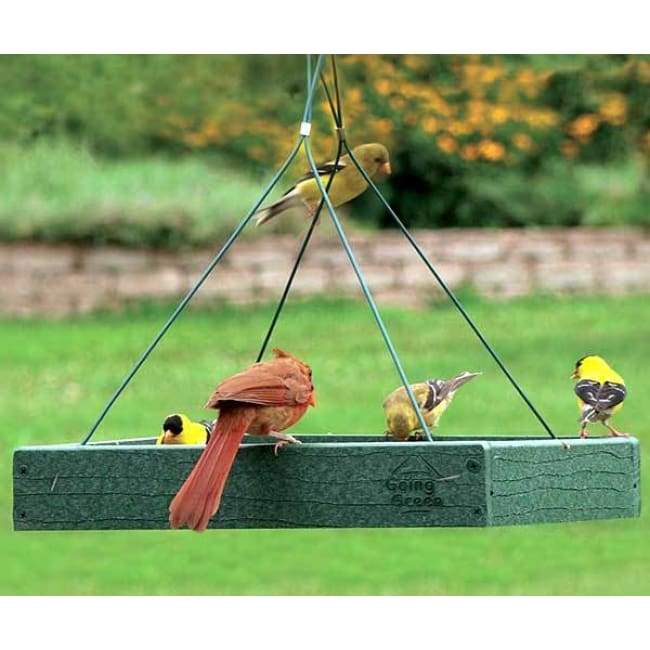 Recycled Plastic Platform Bird Feeder