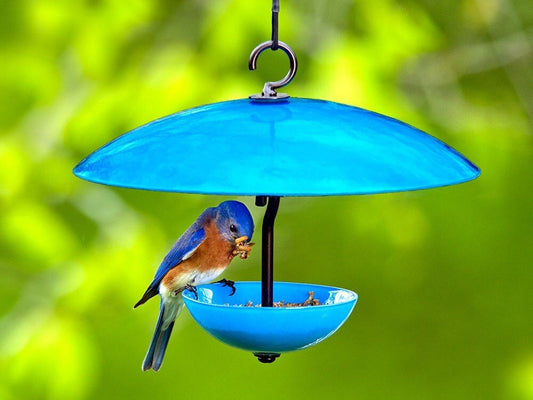 Single Poppy Bird Feeder with Baffle and Steel Core Rope | Hanging Bird Feeders for Birds, Outdoor Garden Decor & Unique Gift - BIRDLOVER