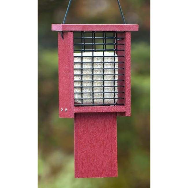 Red tail-prop suet feeder mounted for woodpeckers