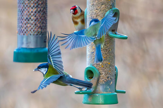 Smart Bird Feeders vs Natural Handcrafted Feeders — Which is Better for Birds in 2026? - BIRDLOVER