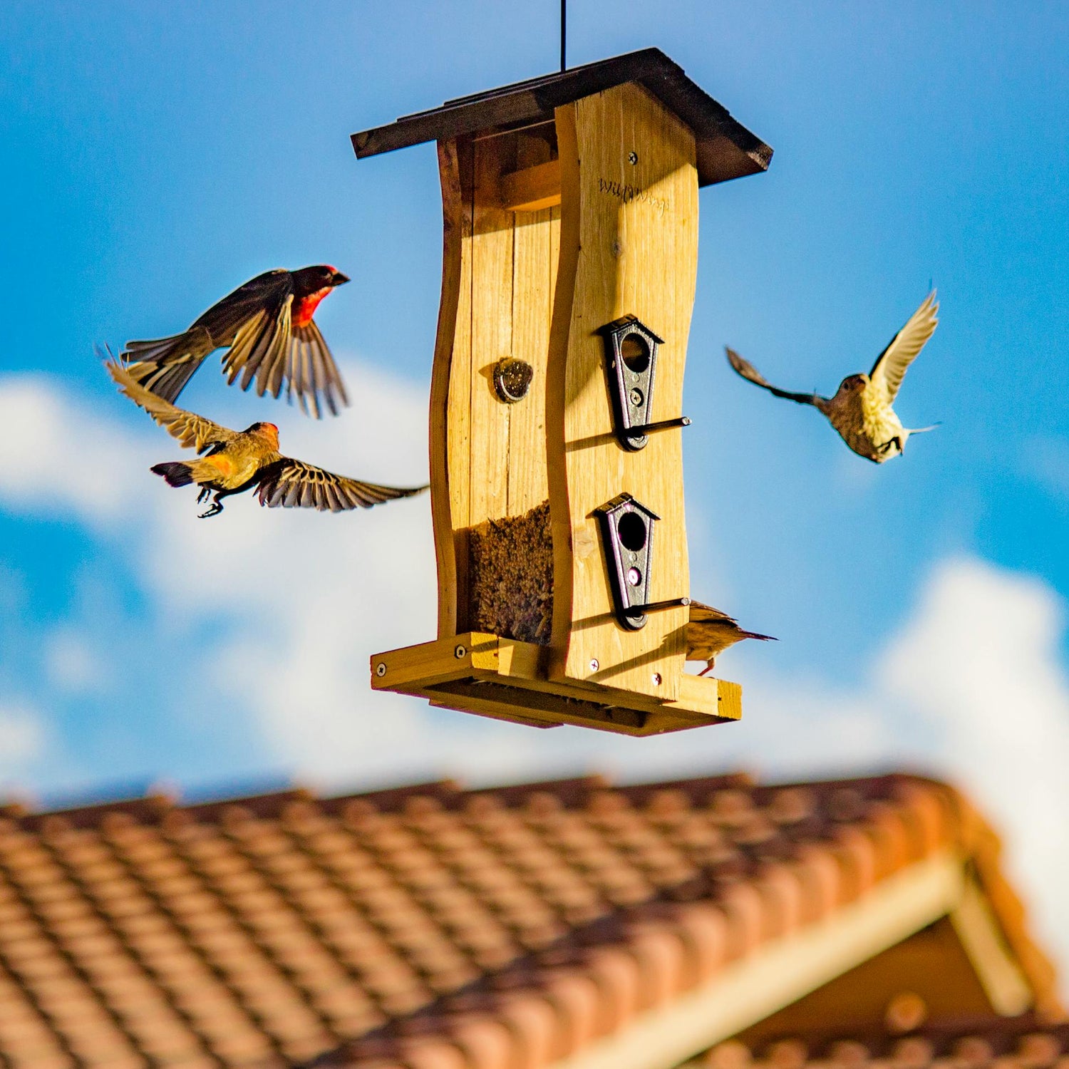 Bird Feeders - BIRDLOVER
