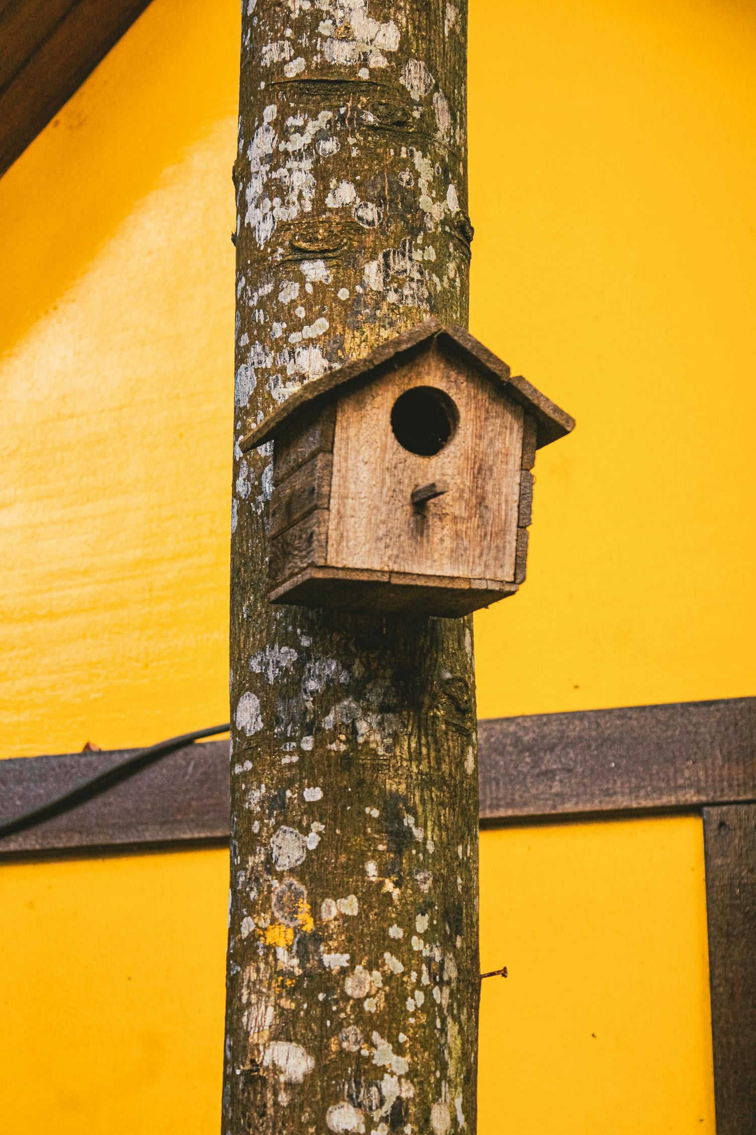 Birdhouses - BIRDLOVER