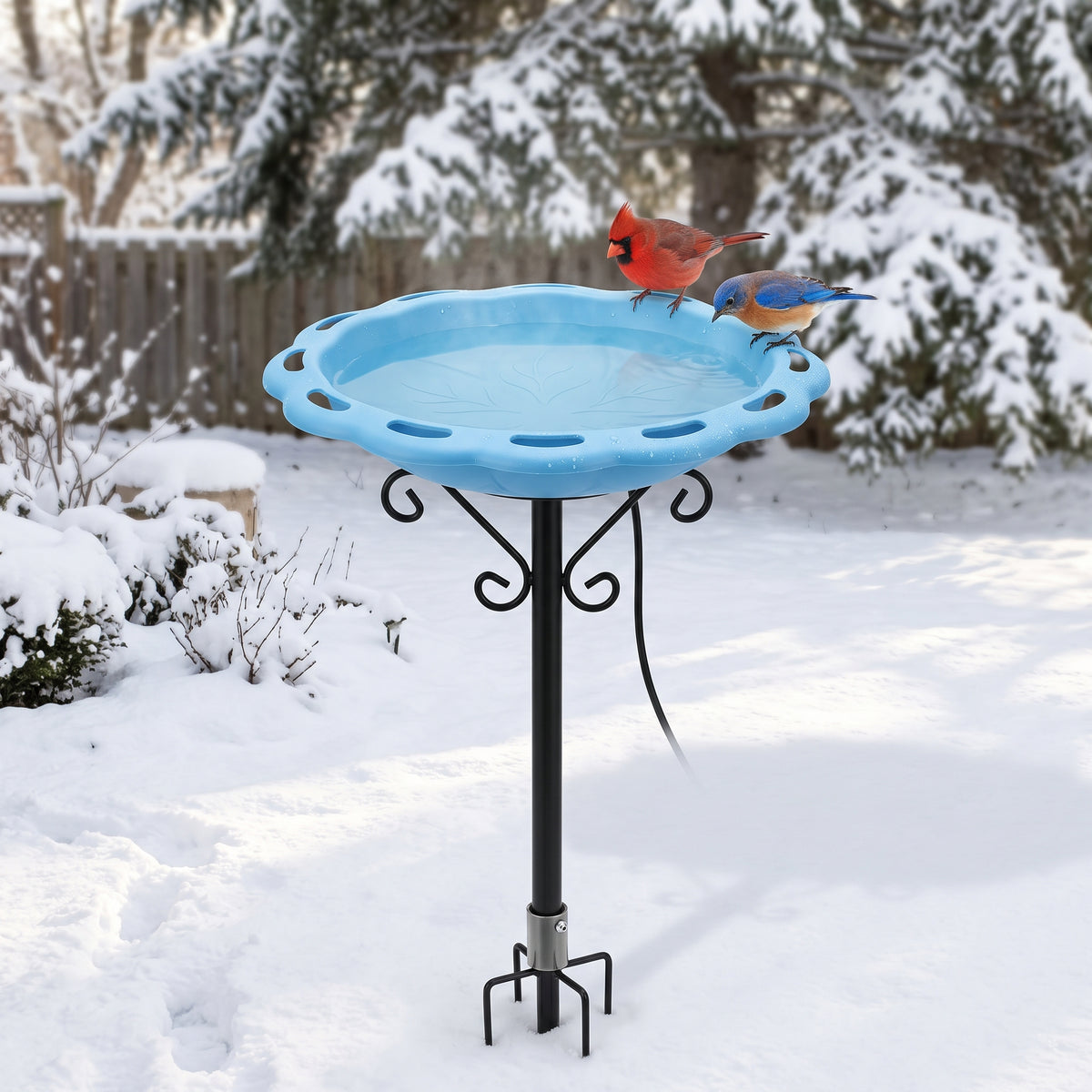 100W thermostatically controlled heated bird bath on a 5-prong metal stand, keeping water ice-free in winter