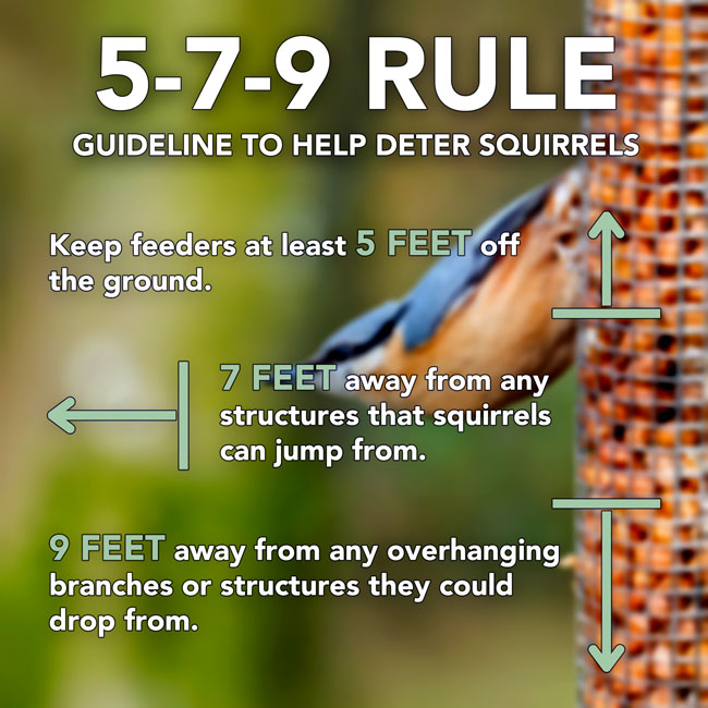Gazebo Deluxe Bird Feeder