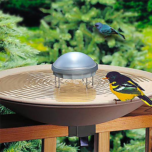 Aurora Color Changing Water Wiggler - BIRDLOVER