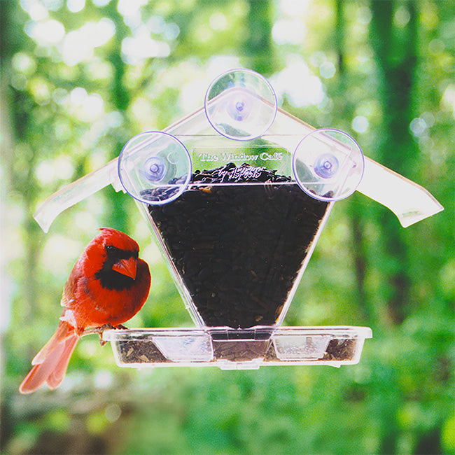 Window Cafe Transparent Window Feeder