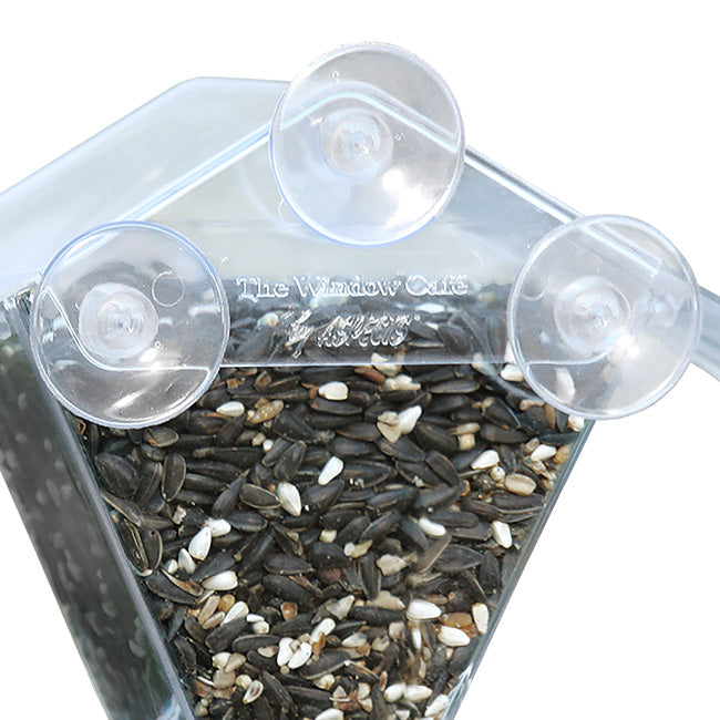 Window Cafe Transparent Window Feeder