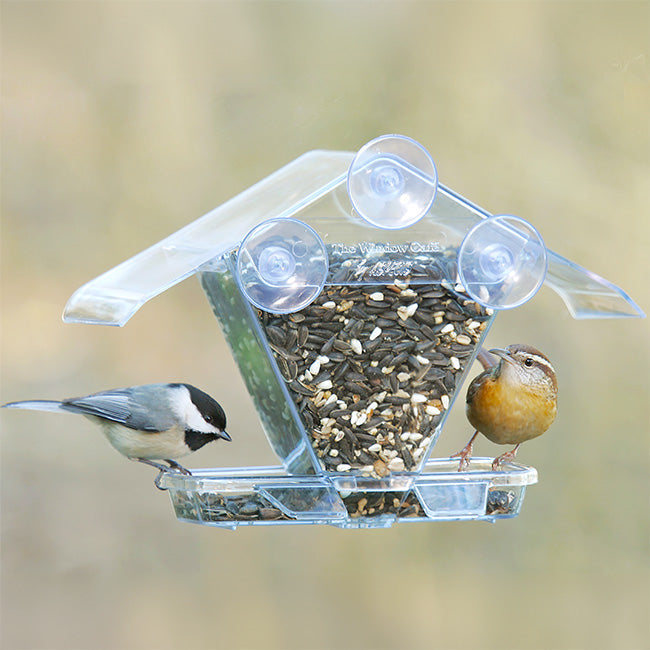 Window Cafe Transparent Window Feeder