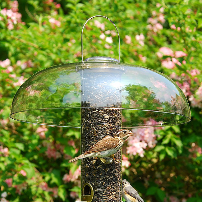 Super Tube Clear Top II, 18" dia.
