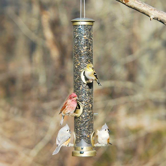 Seed Tube Wild Bird Feeder, Large, Antique Brass