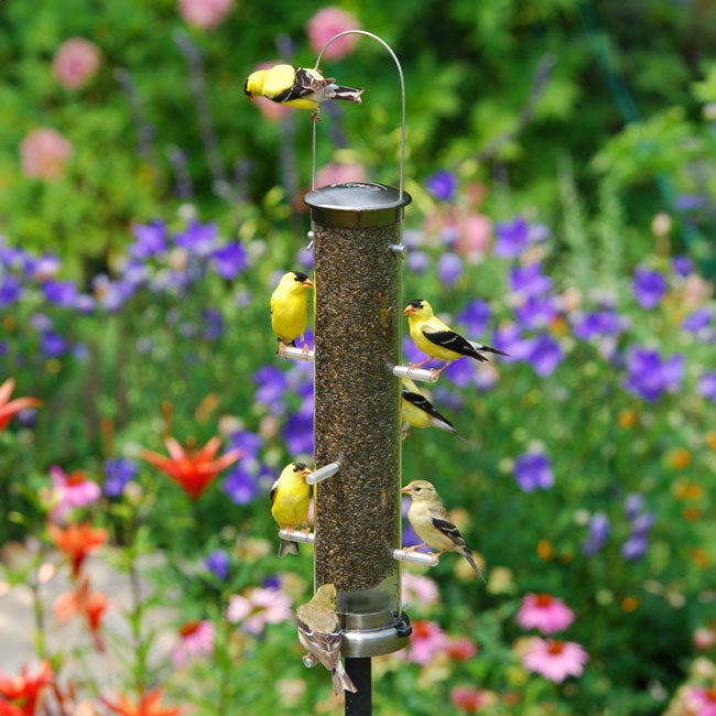 Seed Tube Wild Bird Feeder, Large, Antique Brass