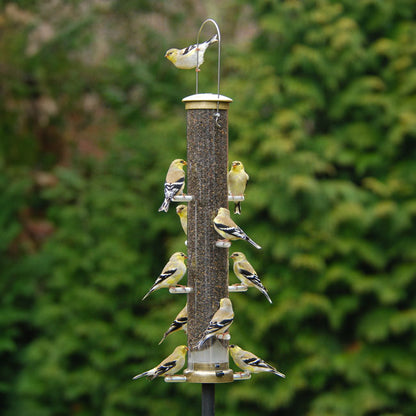 Thistle Tube Wild Bird Feeder, Large, Antique Brass