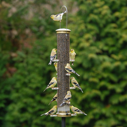 Thistle Tube Wild Bird Feeder, Large, Antique Brass - BIRDLOVER