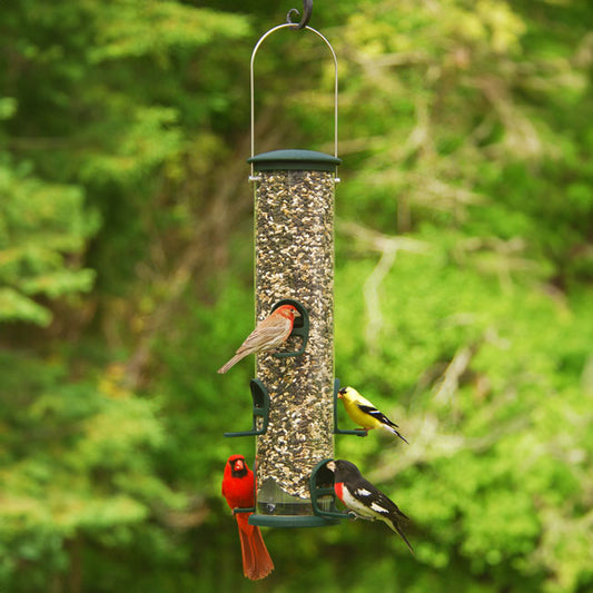 Big Tube Wild Bird Feeder, Spruce - BIRDLOVER