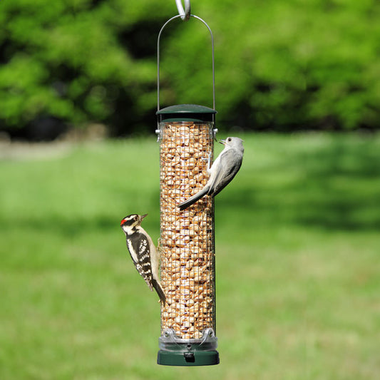 Quick-Clean Peanut Mesh Bird Feeder, Spruce - BIRDLOVER