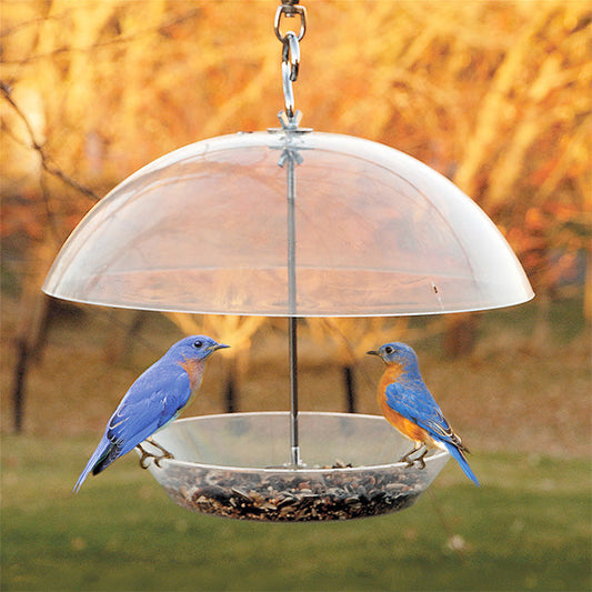 Audubon Domed Wild Bird Feeder - BIRDLOVER