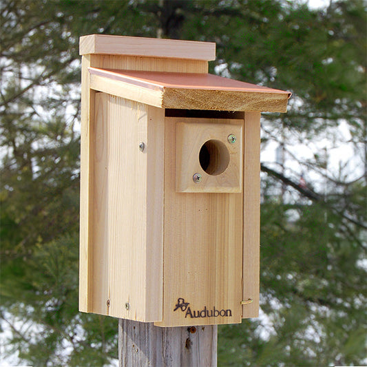 Audubon Coppertop Bluebird House - BIRDLOVER