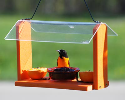 Audubon Recycled Plastic Oriole and Bluebird Feeder - BIRDLOVER