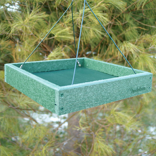 Audubon Recycled Plastic Platform Bird Feeder - BIRDLOVER