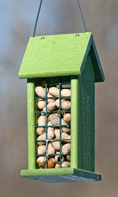 Audubon Going Green Peanut Feeder - BIRDLOVER