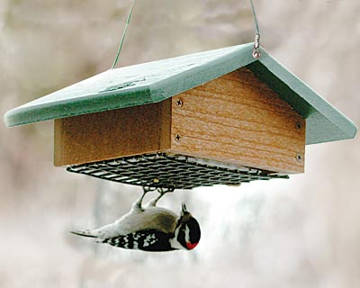 Audubon Recycled Plastic Upside Down Suet Feeder - BIRDLOVER