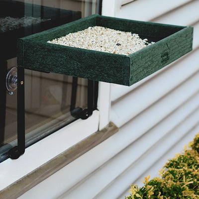 Audubon Going Green Window Bird Feeder - BIRDLOVER