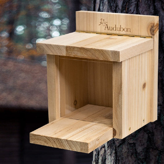 Audubon Cedar Squirrel Munch Box - BIRDLOVER