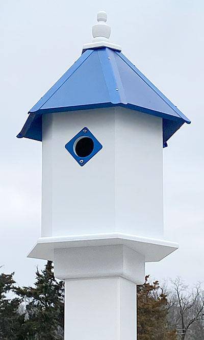 Sycamore Bird House with Cobalt Blue Roof