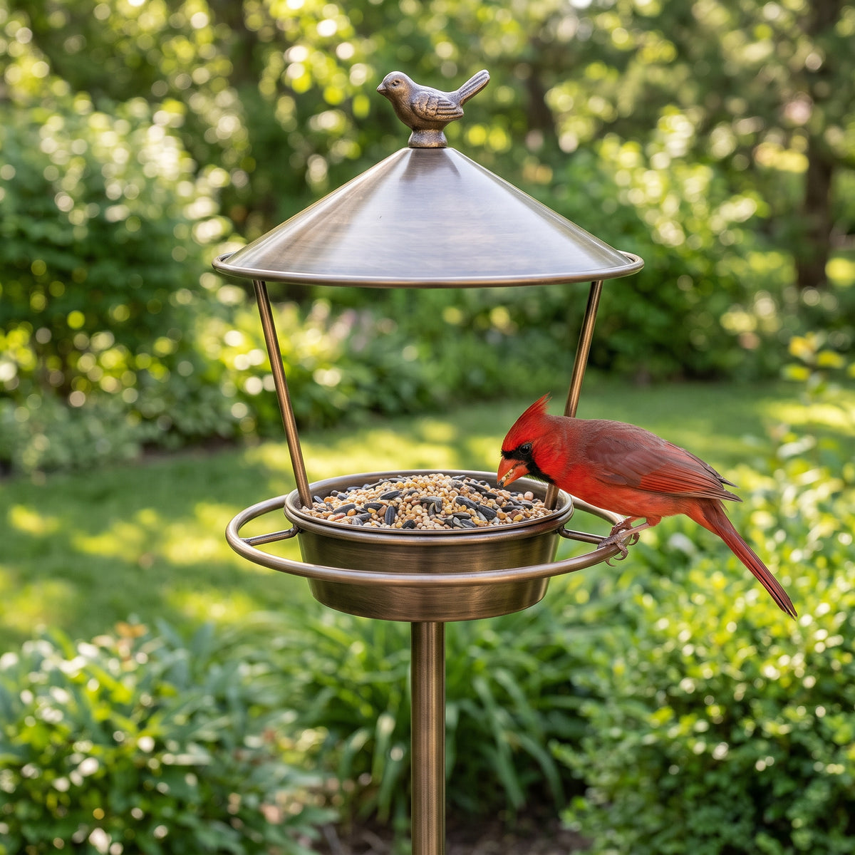 Northern Cardinal perched on the 360-degree ring of the Brushed Bronze standing metal platform bird feeder in a sunny garden