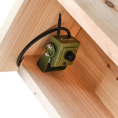 Green security camera attached to a wooden surface