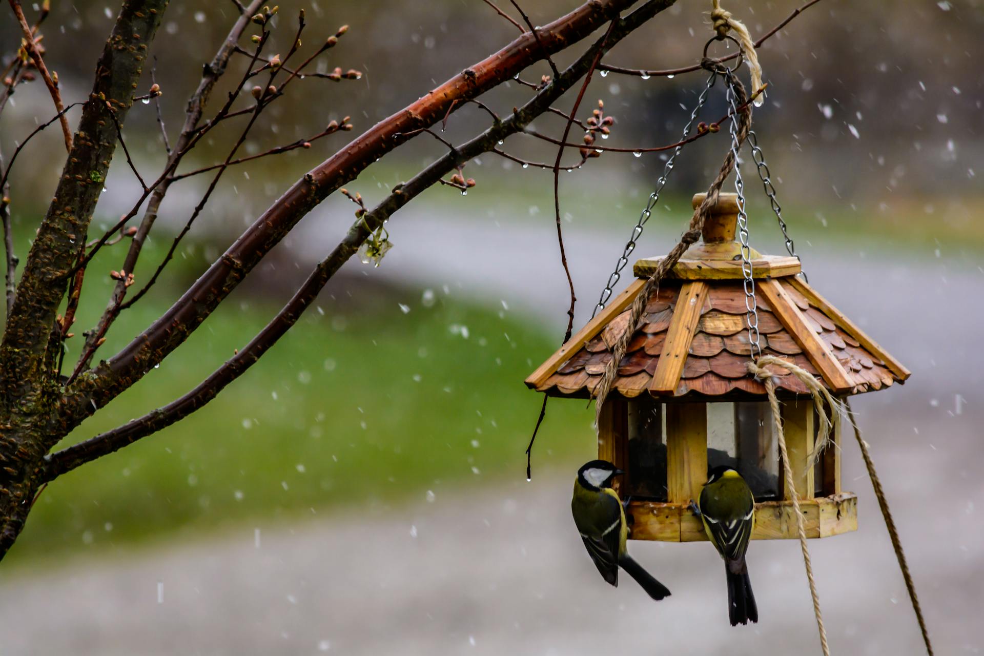 BIRDLOVER_Handcrafted_Bird_Feeders_Birdhouses_Bird_Baths