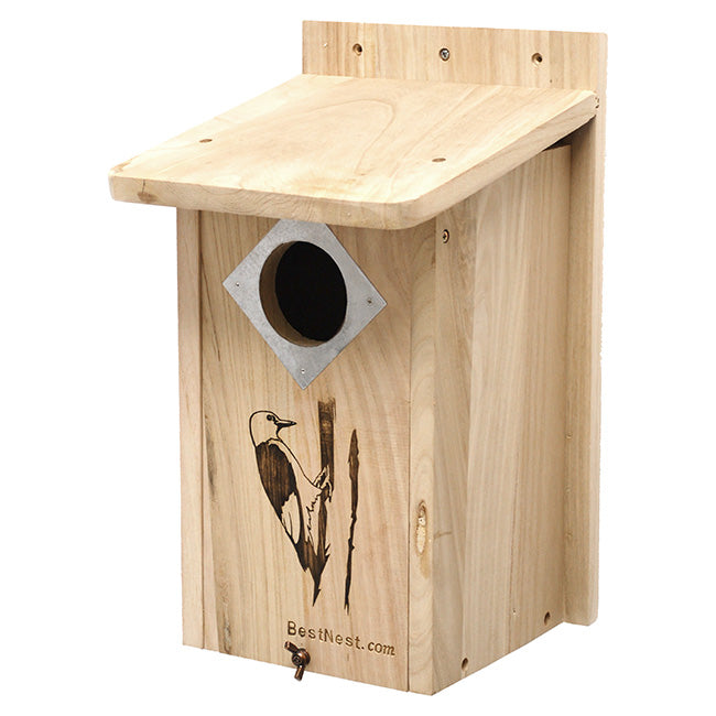 Classic Three-Woodpecker House
