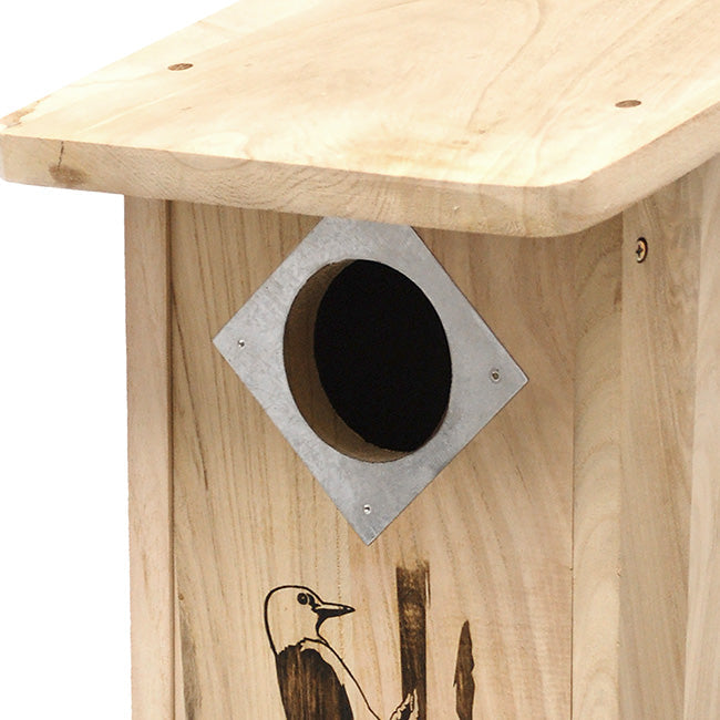 Classic Three-Woodpecker House