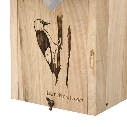 Classic Three-Woodpecker House