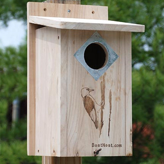 Classic Three-Woodpecker House - BIRDLOVER