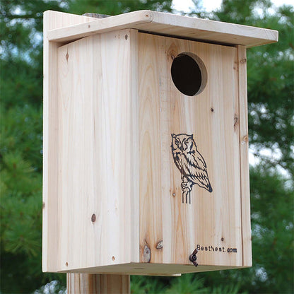 Premium Screech Owl or Kestrel House
