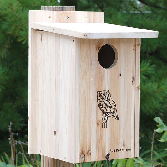 Premium Screech Owl or Kestrel House - BIRDLOVER