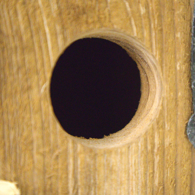 Amish Made Outhouse Rustic Birdhouse
