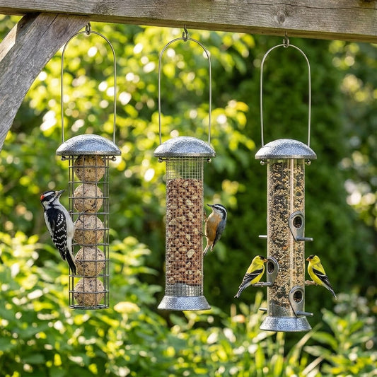 Downy Woodpecker, Red-breasted Nuthatch and American Goldfinches feeding from the 3-piece Sterling Triple Bird Feeder Set in a garden