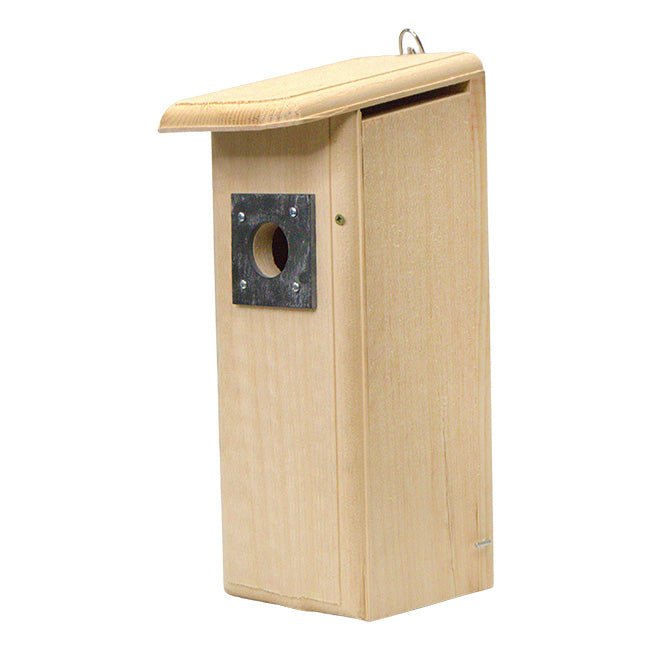 Downy Woodpecker House
