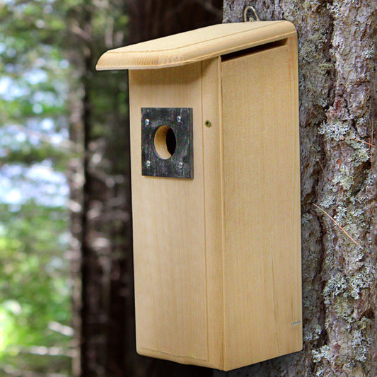 Downy Woodpecker House - BIRDLOVER