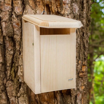 Sparrow-Resistant Eastern Bluebird House